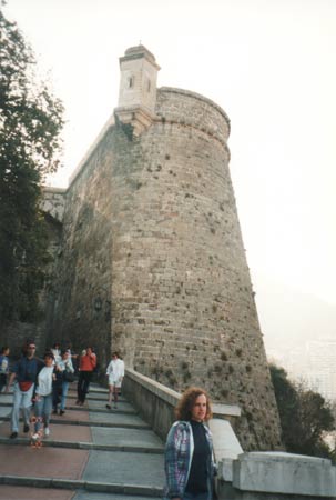 The palace wall