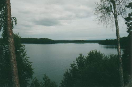 View from the Cabin