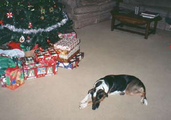 Christmas Tree 2002