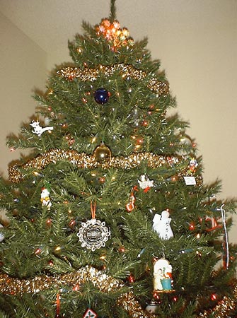 Christmas Tree Zoomed