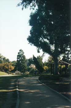 Fox Hills Park