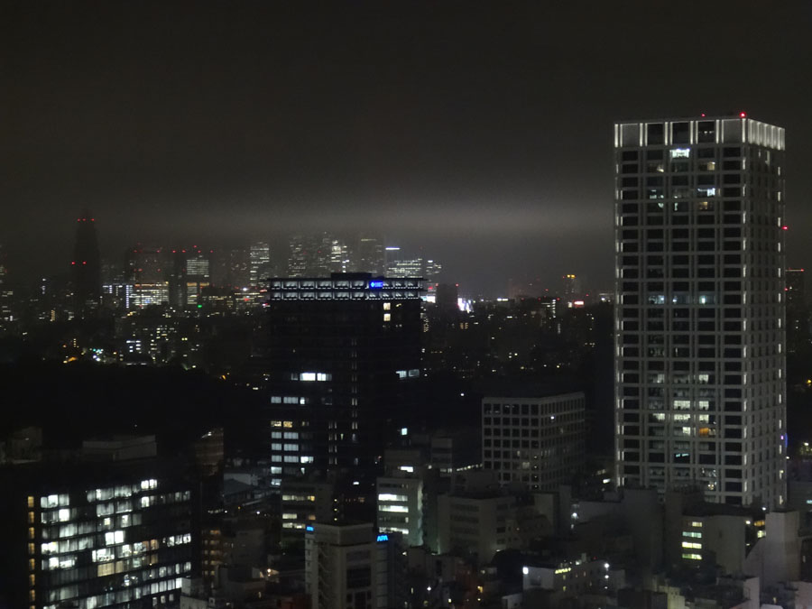 Night View of Tokyo from the Capitol Hotel
