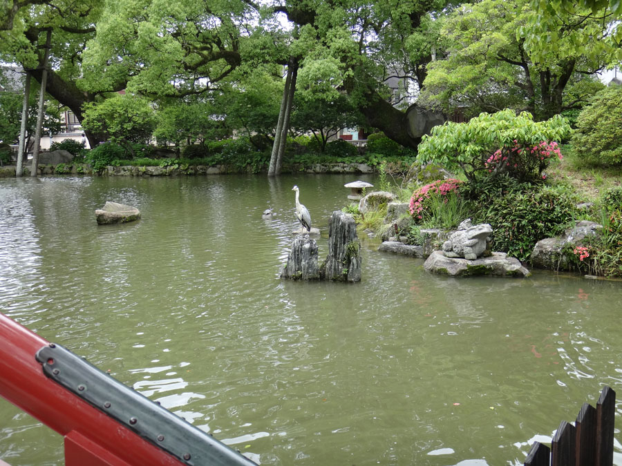 crane at Daifu Tenmangu Shrine