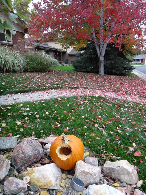 Fall colors, Golden, Colorado, Sanders, aquirrel, pumpkin