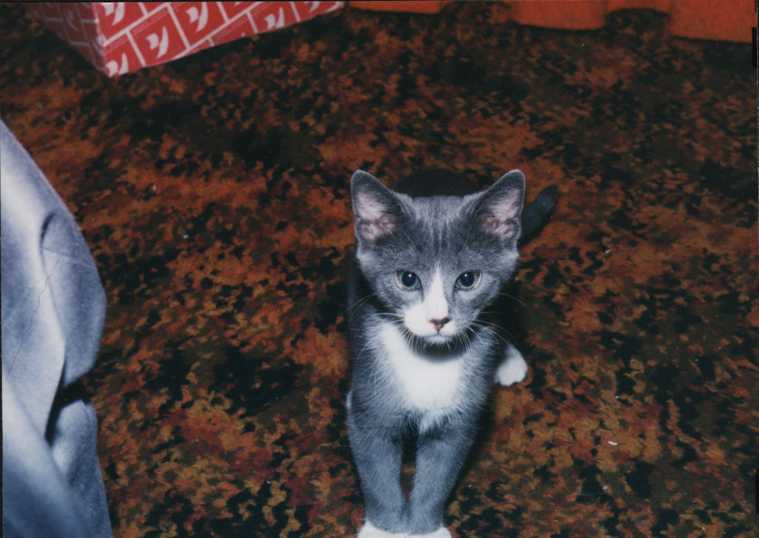 Cirrus' Baby Picture from July, 1999