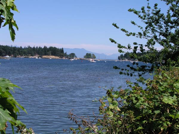 Harbor View in Nanaimo