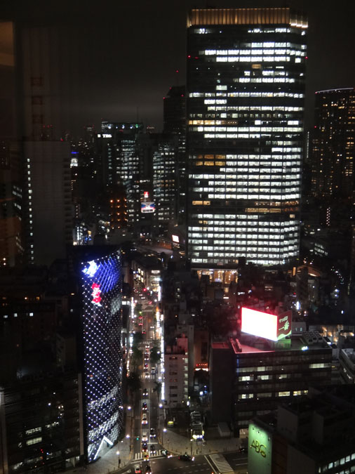 Night View of Tokyo from the Capitol Hotel