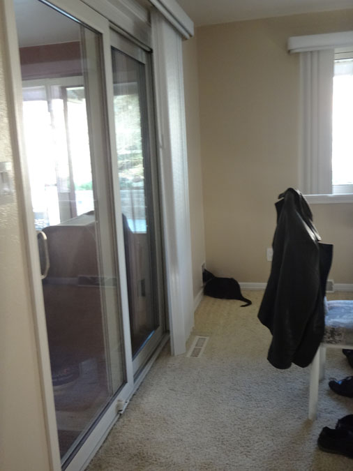 Cirrus using the cat door as a window