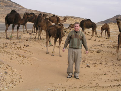 Jarl and the camels